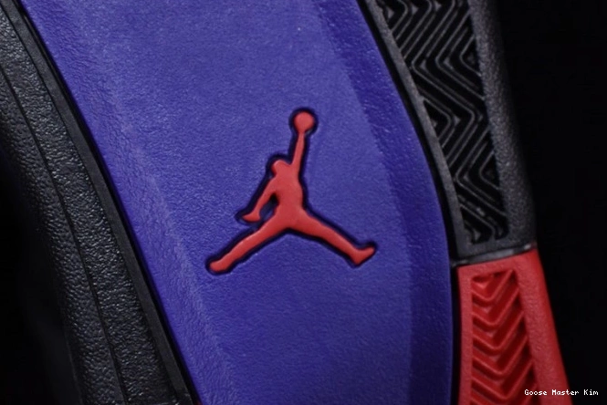 NRG AQ3816-065 Retro 4 Jordan Air Raptors